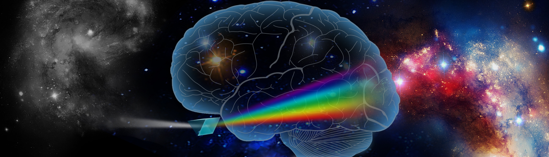 中科院腦智卓越中心發現大腦中的調色板